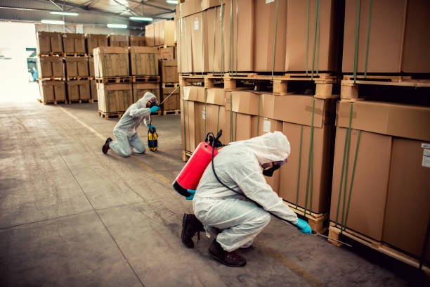 Best Best Pest Control Companies  in Wd, AR