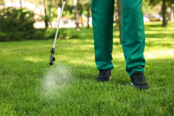 Best Ant Control Services  in Wd, AR