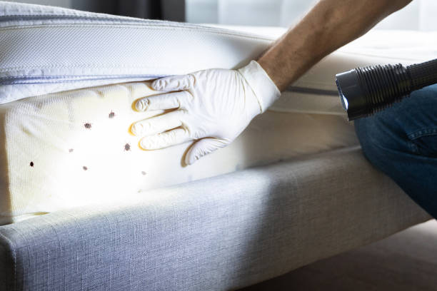 Best Affordable Exterminators  in Wd, AR