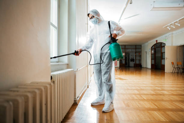 Best Bed Bug Extermination  in Wd, AR