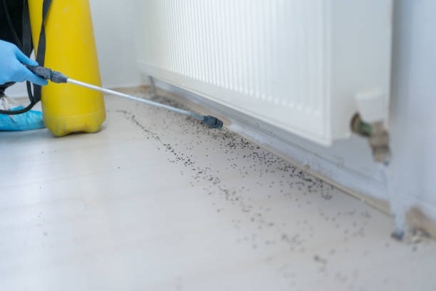 Best Emergency Pest Control  in Wd, AR