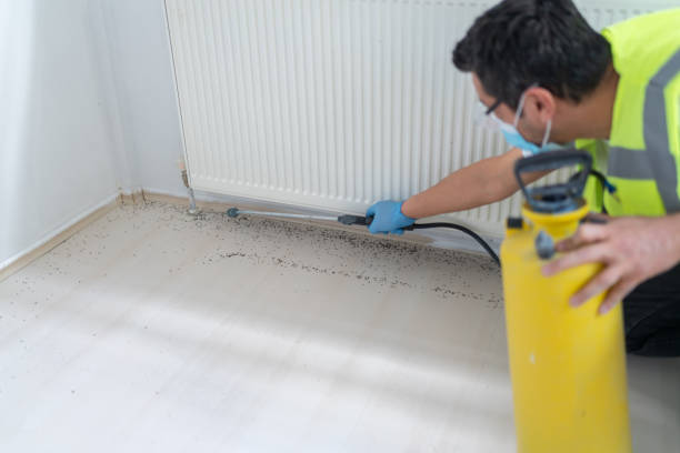 Best Residential Pest Control  in Wd, AR